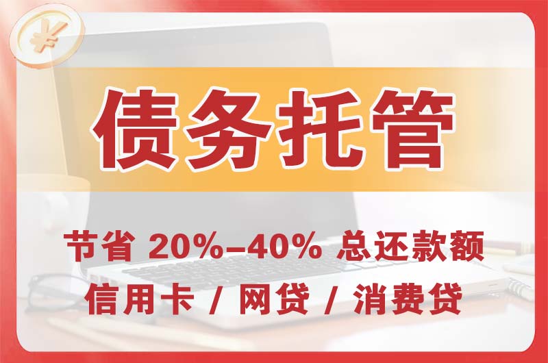 东山区债务托管